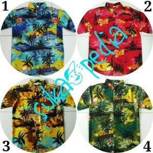... Sleeveless V Neck Beach Shirt Size M - Biru Gratis Ongkir | Shopee Indonesia. Source · Baju Kemeja Pantai Pria Wanita