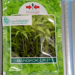 Kangkung Bangkok Harga Terjangkau Tokopedia