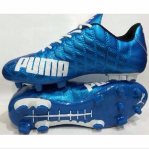 Sepatu Bola Puma Evo Speed Putih Tokopedia