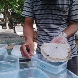 Harga Diskon Raw Honey Tulen Tokopedia