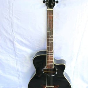 Gitar Akustik Apx Free Ongkir Bayak Bonusnya Tokopedia
