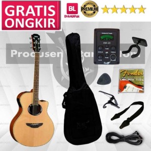 Gitar Akustik Apx Free Ongkir Bayak Bonusnya Tokopedia