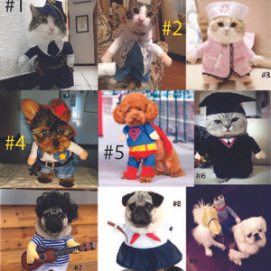 Promo Baju Kucing Tokopedia