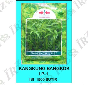 Kangkung Bangkok Harga Terjangkau Tokopedia
