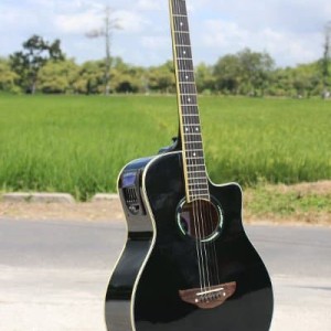 Gitar Akustik Apx Free Ongkir Bayak Bonusnya Tokopedia
