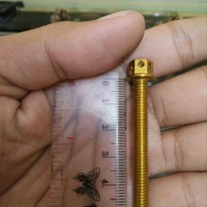 Baut Probolt Gold Flower 6x50 Drat 10 Panjang 50mm Ori Heng Thailand Harga Satuan Tokopedia