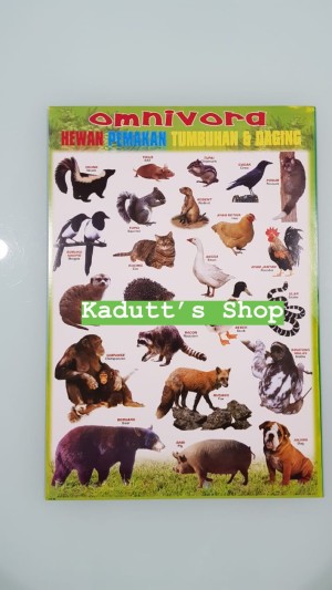 Jual Poster Edukasi Hewan Binatang Jinak Buas Animals Animal