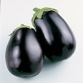 Biji Benih Eggplant Black Beauty [100 Biji]