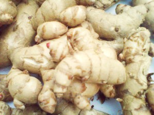 CURCUMA ZEDOARIA SEGAR 1 KG kunyit temu putih