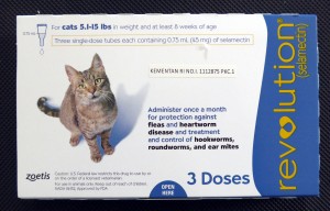 Harga Ndpest Obat Kutu Tetes Punggung Kucing A travelbon.com Harga Ndpest Obat Kutu Tetes Punggung Kucing A travelbon.com