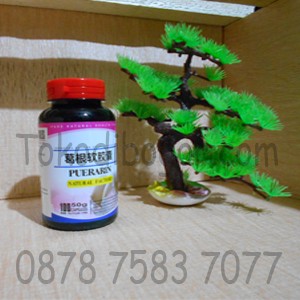 Puerarin Supplemen Pembesar &pengencang Payudara Daftar Harga Source · Obat Suplemen pembesar pengencang payudara PUERARIN SOFT