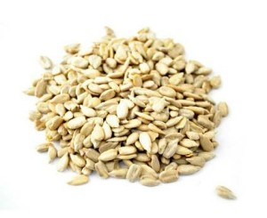 jual biji bunga matahari kuaci mentah sunflower seeds 500 gram 4foglioshop jual biji bunga matahari kuaci mentah sunflower seeds 500 gram 4foglioshop