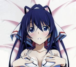 jual sarung bantal peluk anime code ea09 dakimakura shinonono is larizt shop jual sarung bantal peluk anime code ea09 dakimakura shinonono is larizt shop