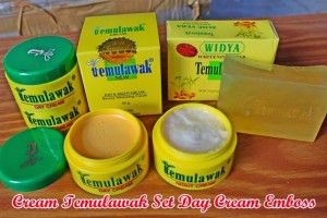 Pusat CREAM TEMULAWAK ORIGINAL EMBOS + SABUN terbaik 