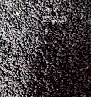 jual basil seed biji selasih import kualitas premium per jual basil seed biji selasih import kualitas premium per