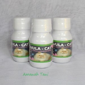 jual obat kucing ovula cat amanah tani jual obat kucing ovula cat amanah tani