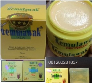 jual paket temulawak original holo gold besar jual paket temulawak original holo gold besar