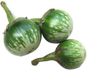 jual benih bibit sayur terong ijo eceran cocok untuk jual benih bibit sayur terong ijo eceran cocok untuk