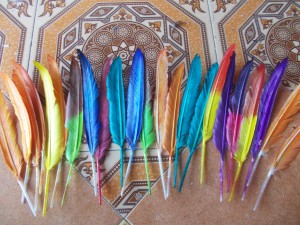 Bulu Angsa panjang 20-25 cm