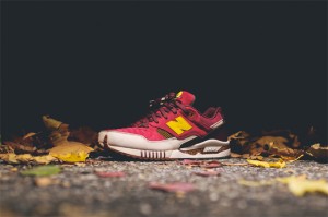 ronnie fieg central park