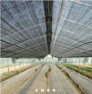 jual jaring tanaman paranet spesifikasi 65 75 lebar jual jaring tanaman paranet spesifikasi 65 75 lebar