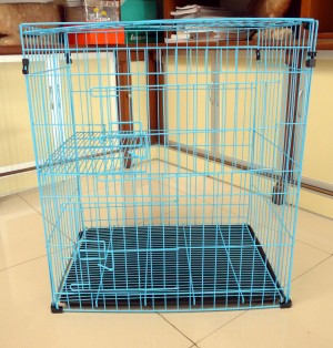 katalog Ndpest Obat Tetes Telinga Kucing Healty travelbon.com katalog Ndpest Obat Tetes Telinga Kucing Healty travelbon.com
