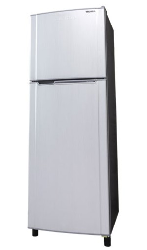 Jual Kulkas 2 Pintu Toshiba GR-Y225E Glacio - Kab. Bandung