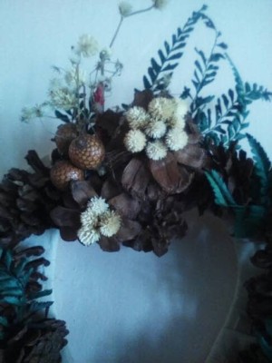 Bunga Rumput Kering Gundul Putih