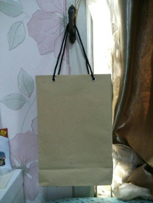 jual promo paperbag sandal polos uk 16x6x28cm tali dg jual promo paperbag sandal polos uk 16x6x28cm tali dg
