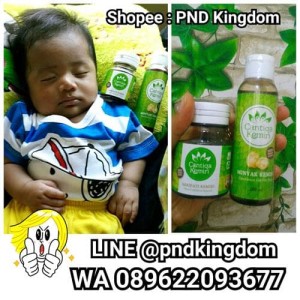 jual penyubur rambut herbal alami cantiqa kemiri (minyak kemiri + Minyak Dan Saripati Cantiqa Kemiri jual penyubur rambut herbal alami cantiqa kemiri (minyak kemiri + Minyak Dan Saripati Cantiqa Kemiri