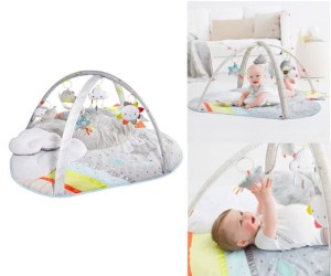 skip hop cloud activity gym