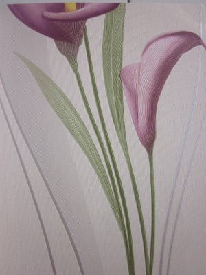 6000+ Wallpaper Bunga Violet 6000+ Wallpaper Bunga Violet