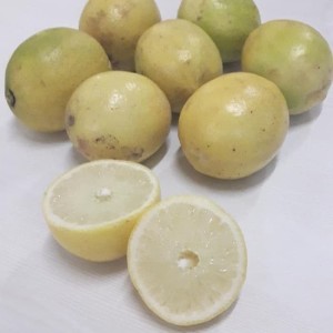 Lemon Law Ga >> Jeruk Lemon 1 Kg Buah Segar Jeruk Lemon Lokal Lemon Law Ga >> Jeruk Lemon 1 Kg Buah Segar Jeruk Lemon Lokal