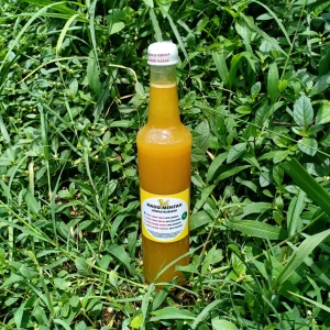 Madu Murni Mentah Apis Cerana