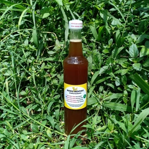 Madu murni mentah apis mellifera