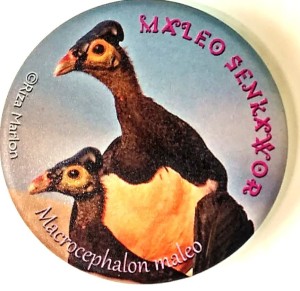 Jual Pin Burung Maleo Senkawor 2 Khas Indonesia Wild Life By
