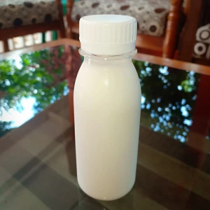 BIBIT KEFIR PRAKTIS PLAIN