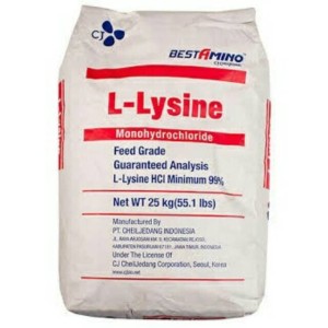 Spring Valley L Lysine Tablets 1000mg 100 Ct Walmart Com Walmart Com