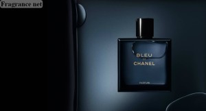 fragrancenet bleu de chanel