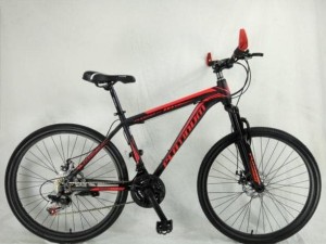 giant glory 1 2009