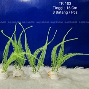 Jual Rumput Hiasan Akuarium Murah Tp 90 Kab Indramayu Aquadom Tokopedia