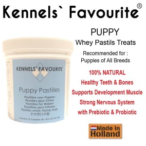 strong kennels