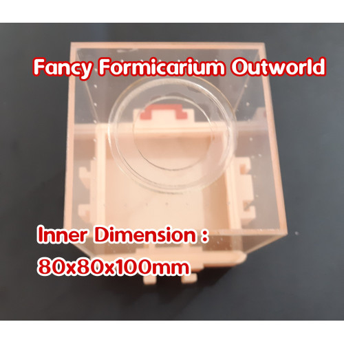 Foto Produk Fancy Formicarium Outworld dari Bali 3D