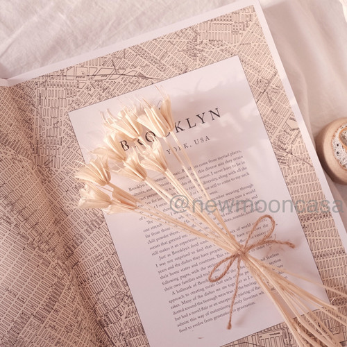 Foto Produk Natural Dried Flower Plants Dekorasi Bunga Kering Rustic Vintage Red - DAISY dari New Moon Casa