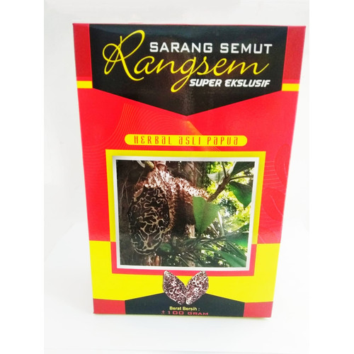 Foto Produk Sarang Semut Asli Papua dari winacollection