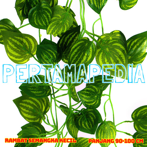 Foto Produk Daun Rambat Plastik/ Daun Rambat Artificial/ Semangka K90 dari PERTAMA PEDIA