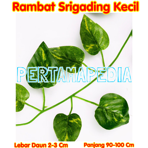 Foto Produk Daun Rambat Plastik/ Daun Rambat Palsu/ Daun Rambat Sintetis. dari PERTAMA PEDIA