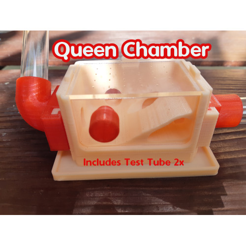 Foto Produk Queen Chamber Formicarium dari Bali 3D