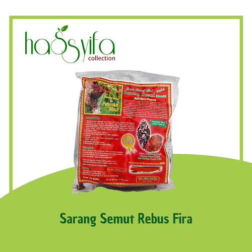 Foto Produk Sarang Semut Rebus (asli Papua) dari Hassyifa collection