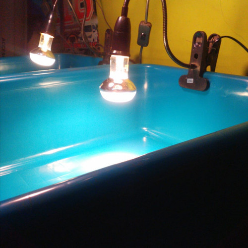 Foto Produk Fiting lampu reptile + Exoterra Intense Basking Spot 50watt dari Fortune Torto